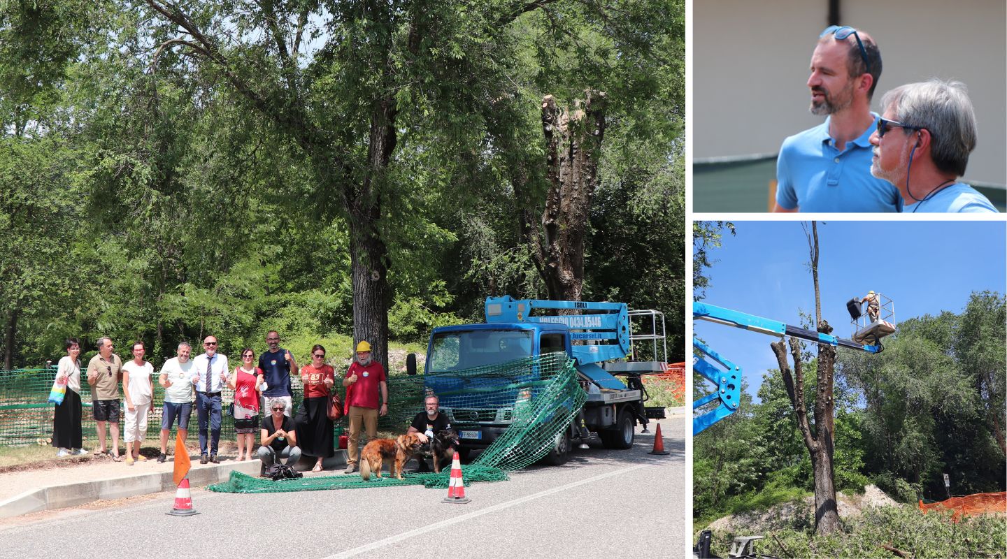 «Non toccate gli alberi», stop al cantiere del Gect in via Cordaioli